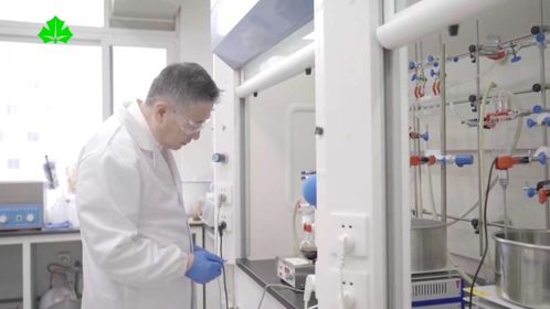 智能時代勞動者之歌 當高分子材料研發(fā)遇見AI頭腦風暴